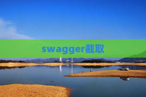 swagger截取